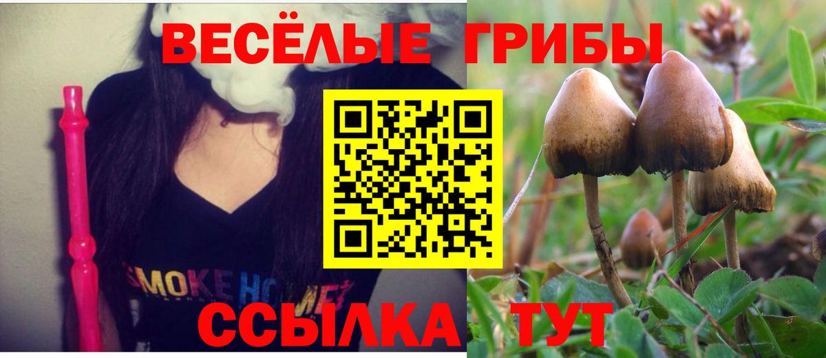 Галлюциногенные грибы мицелий  Вход с VPN  Лянтор 