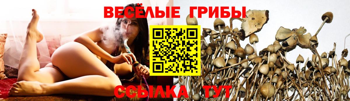 Галлюциногенные грибы Cubensis Лянтор
